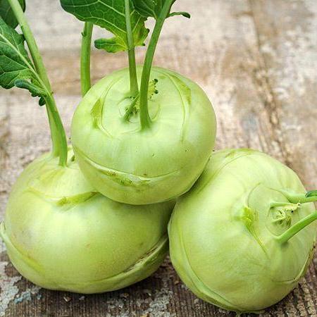 Kohlrabi | Blanc - Jardin St-Laurent