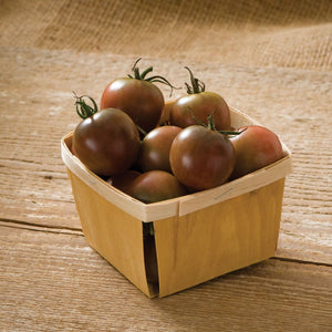 
                  
                    Tomate | Cerises Noires - Jardin St-Laurent
                  
                