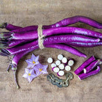 Aubergine | Chinese String - Jardin St-Laurent