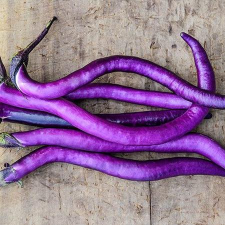 Aubergine | Chinese String - Jardin St-Laurent