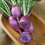 Radis | Daikon Mauve - Jardin St-Laurent