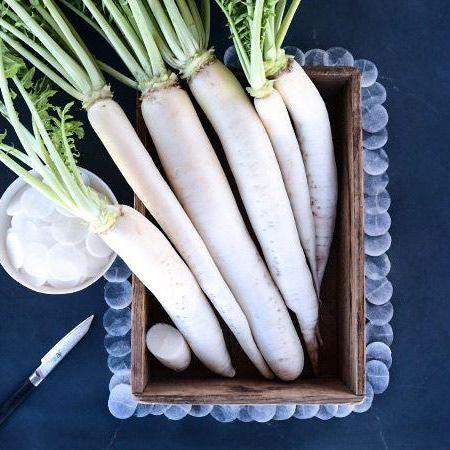 Radis | Daikon - Jardin St-Laurent